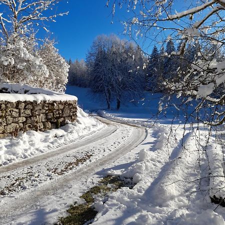 Ch'Tit Jura Bed & Breakfast Les Moussieres Екстериор снимка